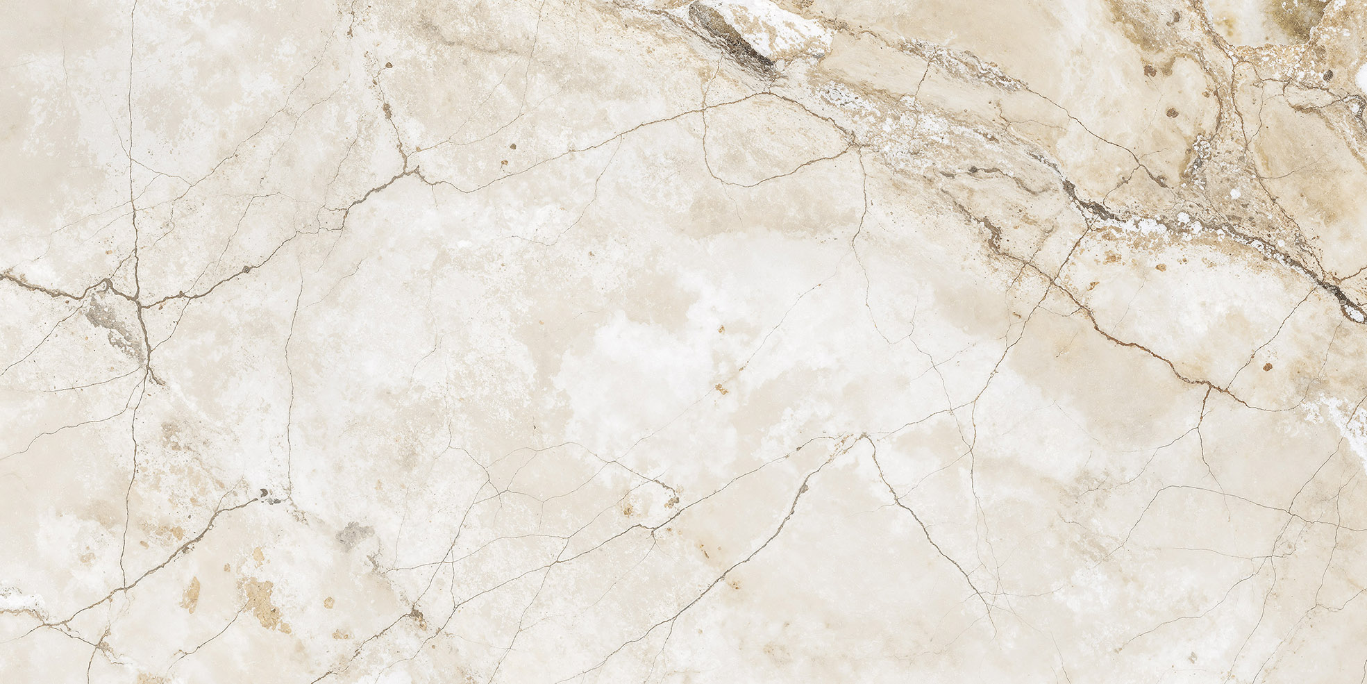 ROYAL NATURAL 60X120